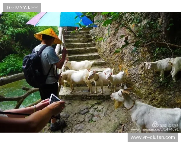 国羽队医宋立佼世锦赛兼职煲汤，营养支援成幕后功臣